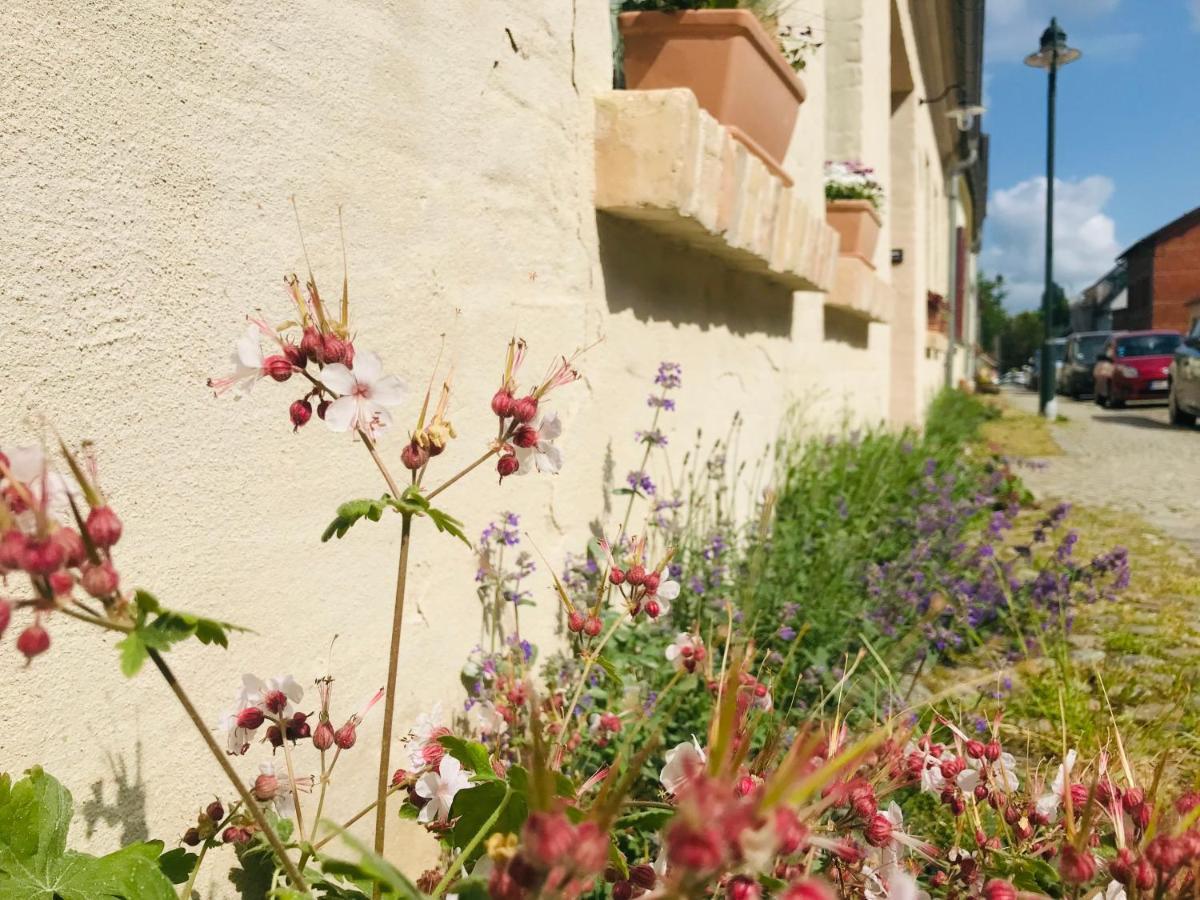 Klein Aber Fein In Der Altstadt Angermunde Dış mekan fotoğraf